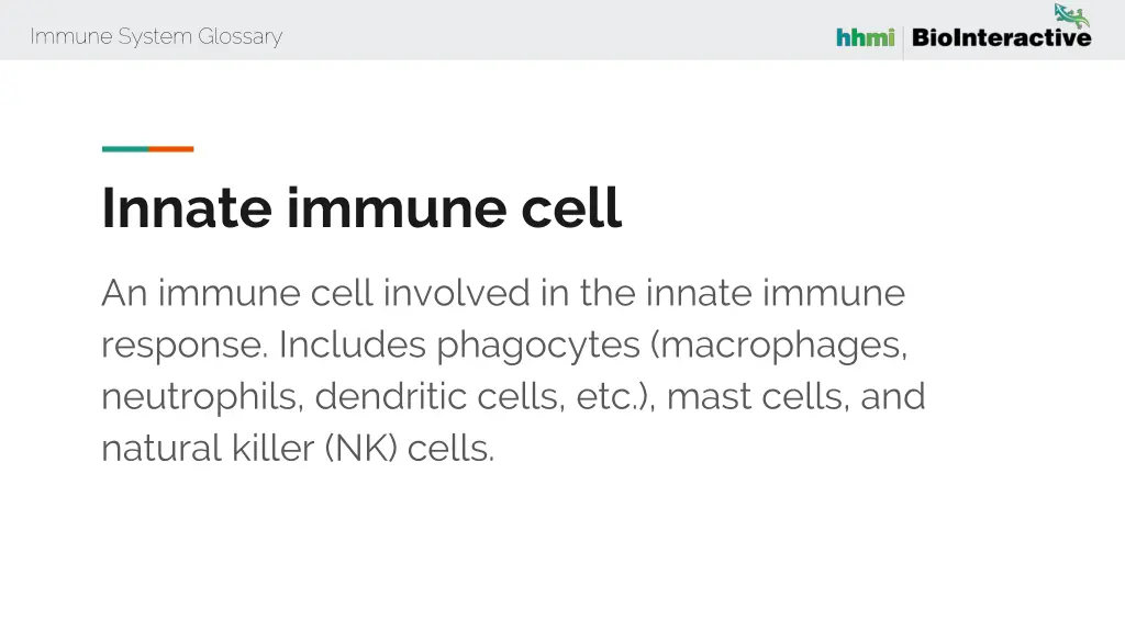 immune system glossary 31