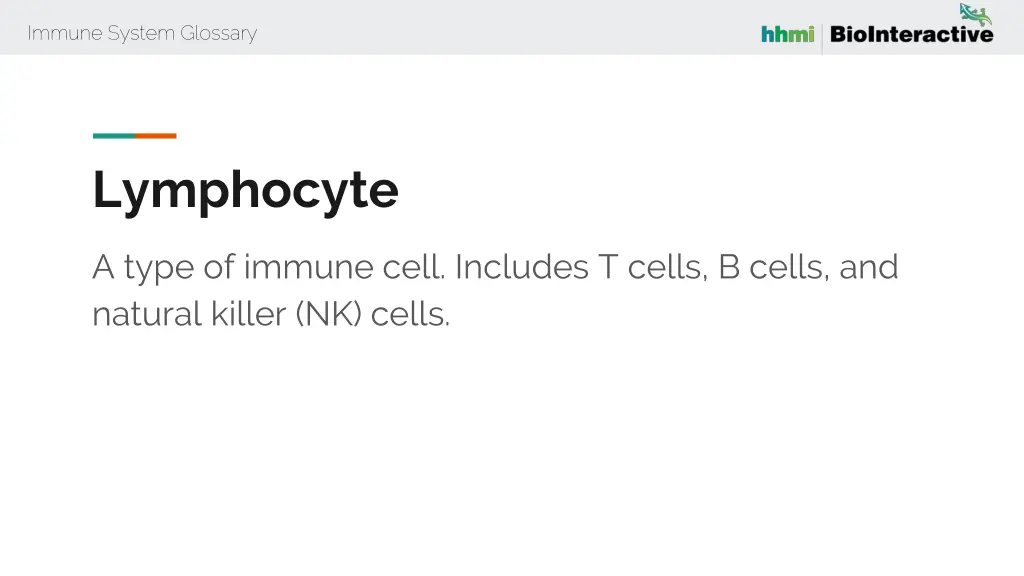 immune system glossary 36