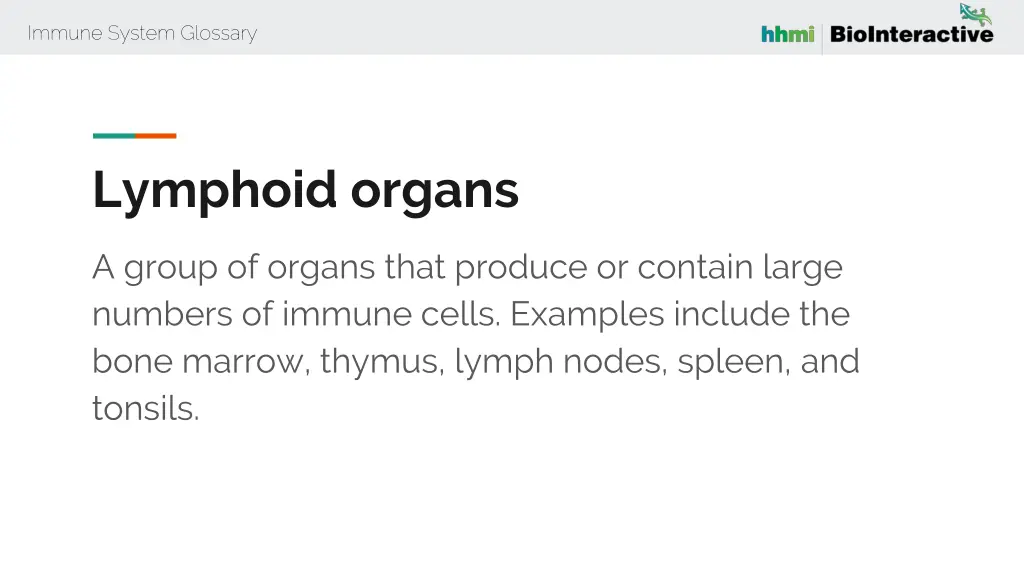 immune system glossary 37