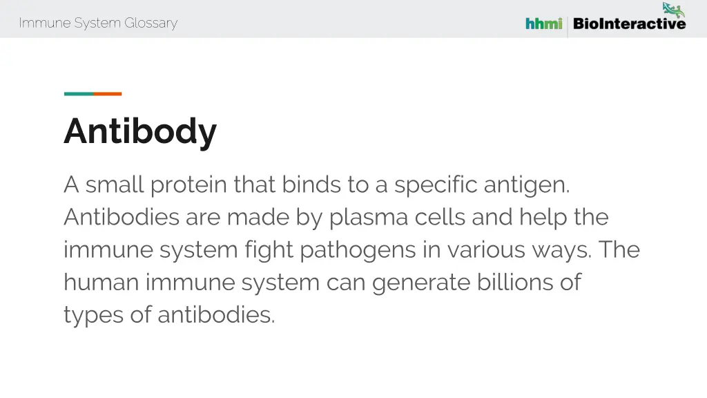 immune system glossary 4