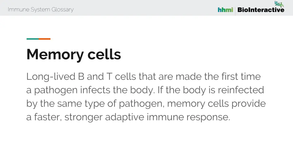 immune system glossary 41