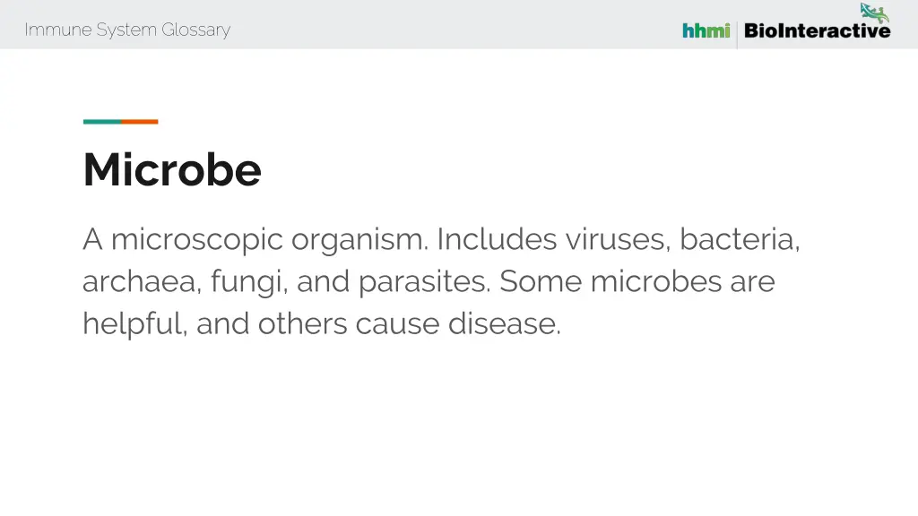 immune system glossary 42