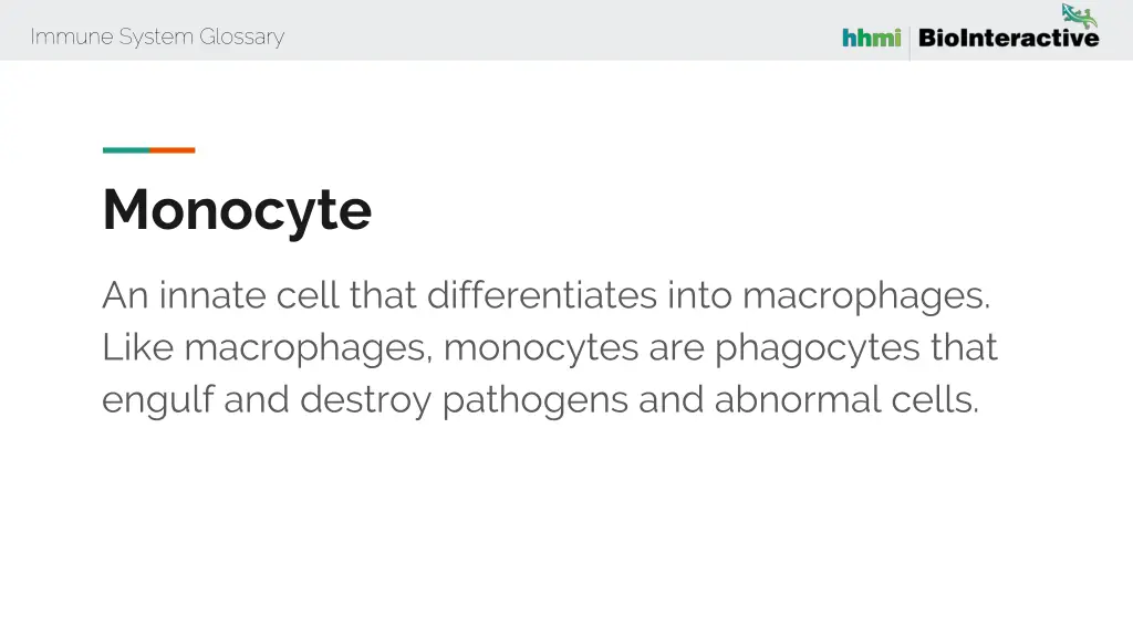 immune system glossary 44