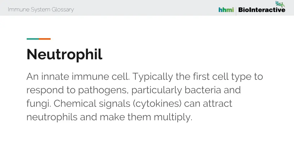 immune system glossary 49