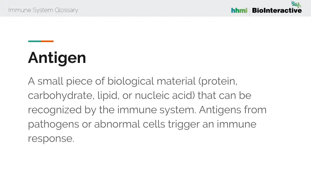 immune system glossary 5