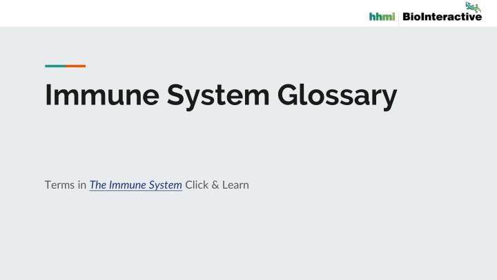 immune system glossary