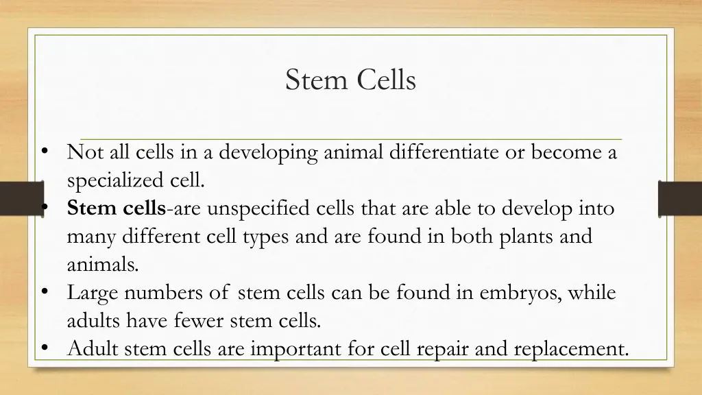 stem cells