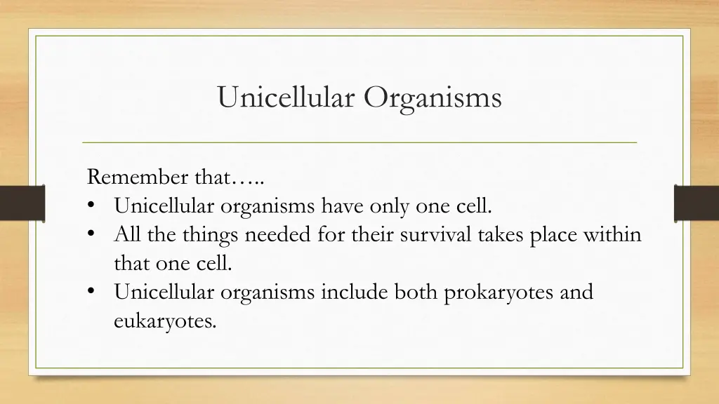 unicellular organisms