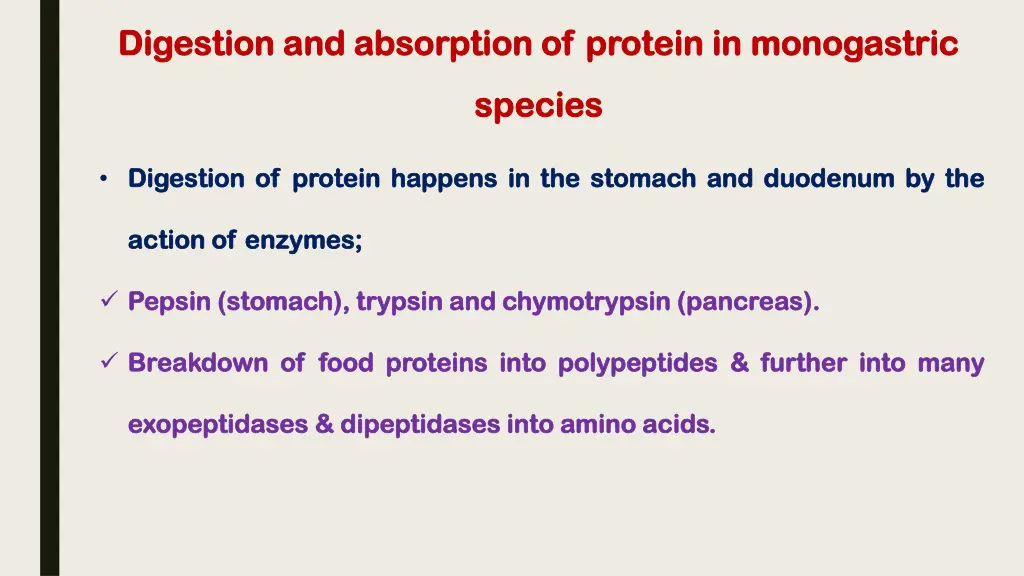 digestion and absorption of protein