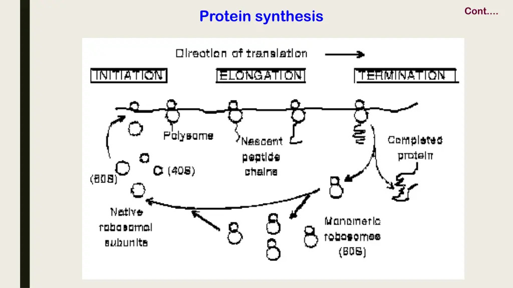 slide11