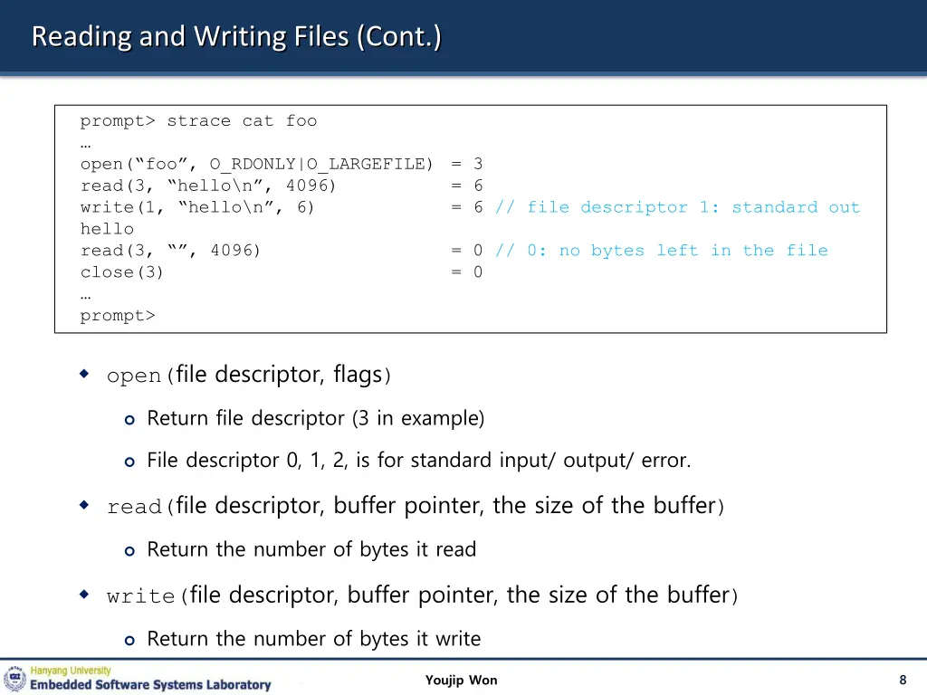 reading and writing files cont