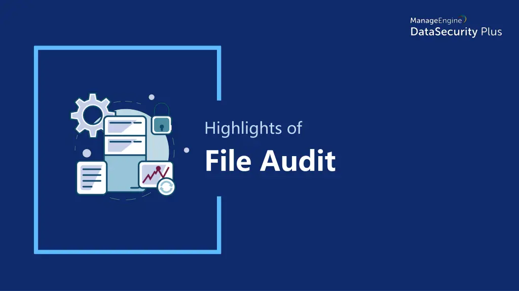 highlights of file audit