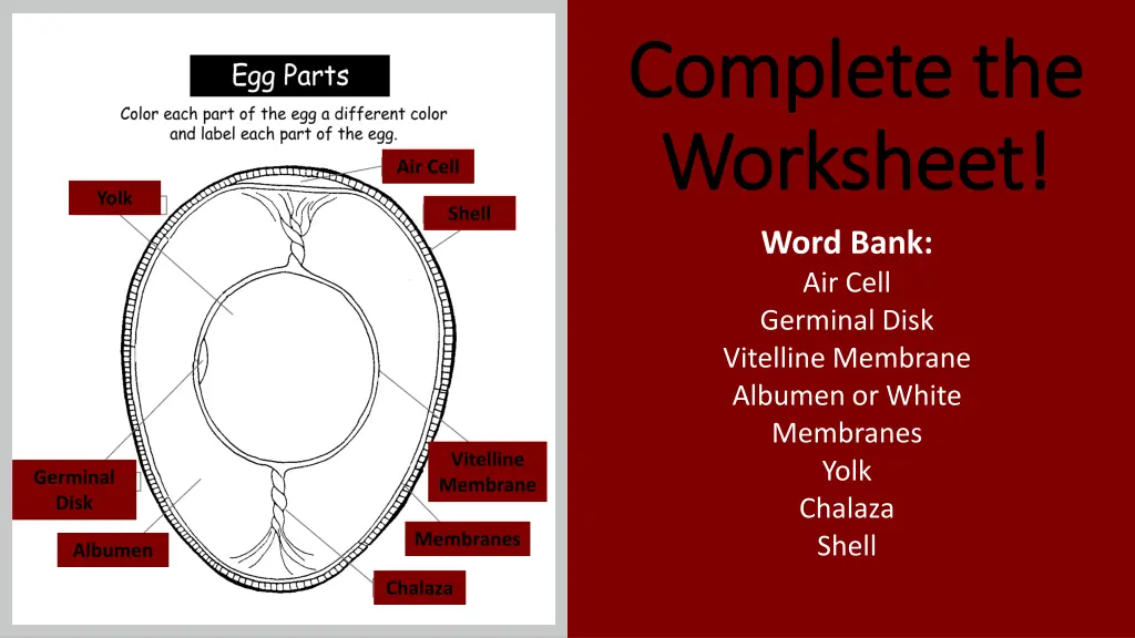 complete the complete the worksheet worksheet