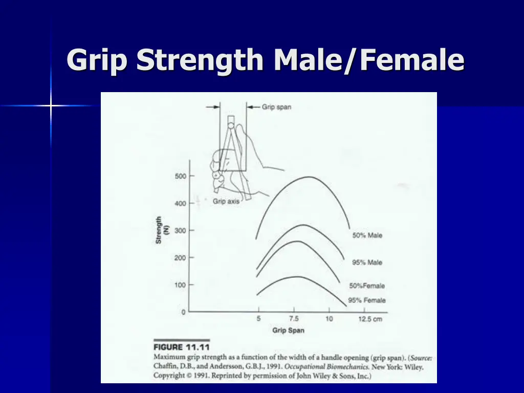 grip strength male female