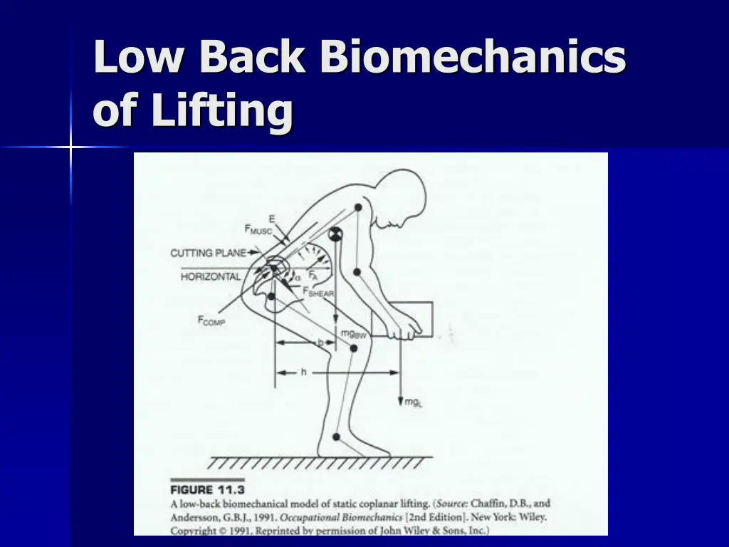 low back biomechanics of lifting