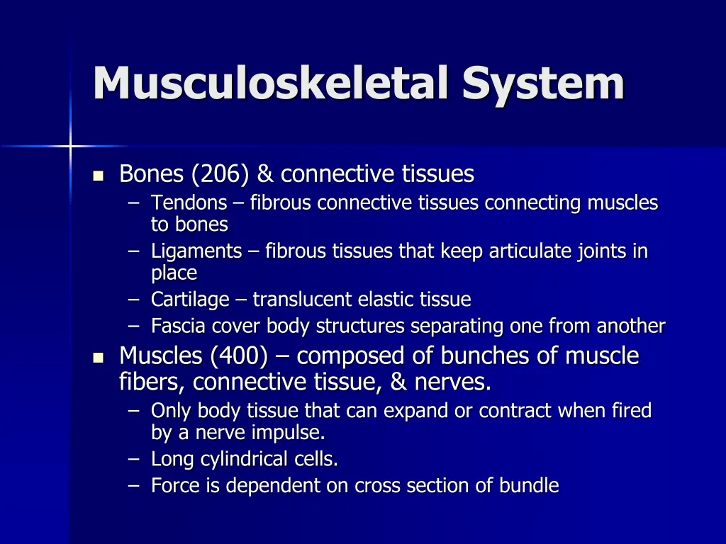 musculoskeletal system