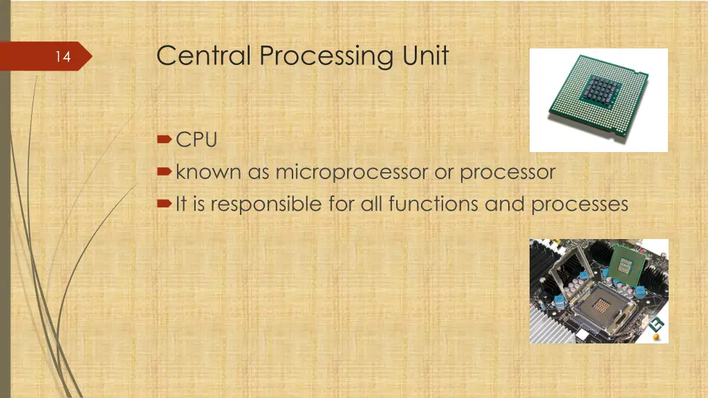 central processing unit