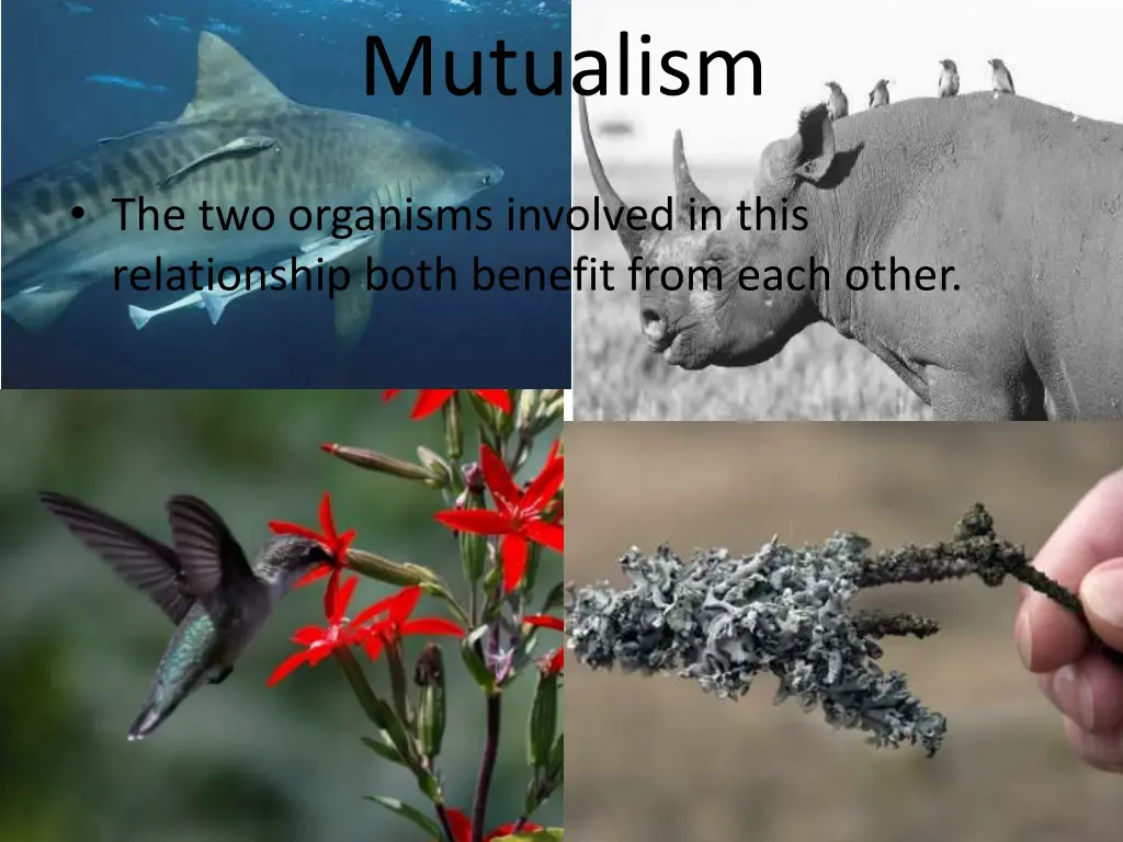 mutualism