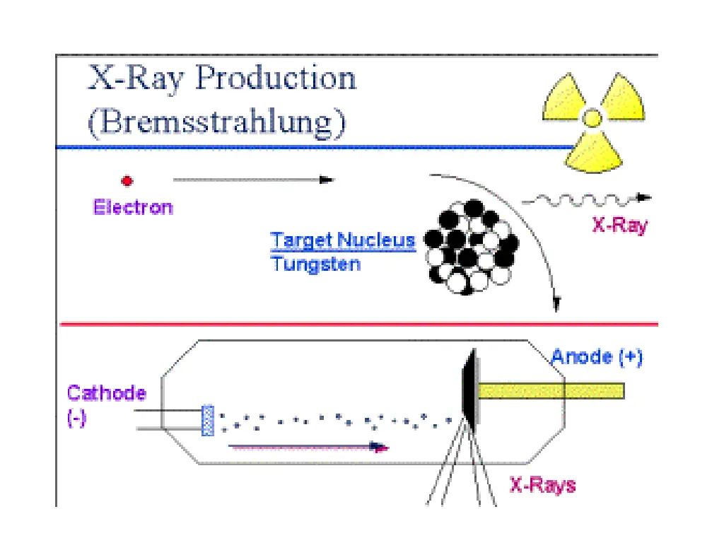 slide25