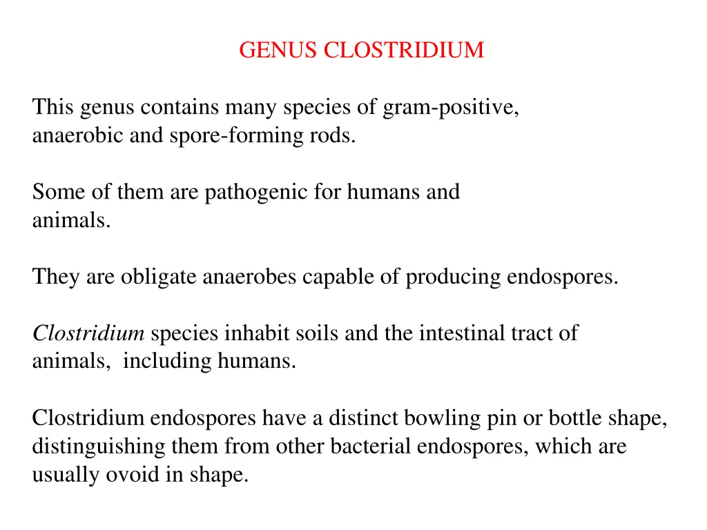 genus clostridium 1