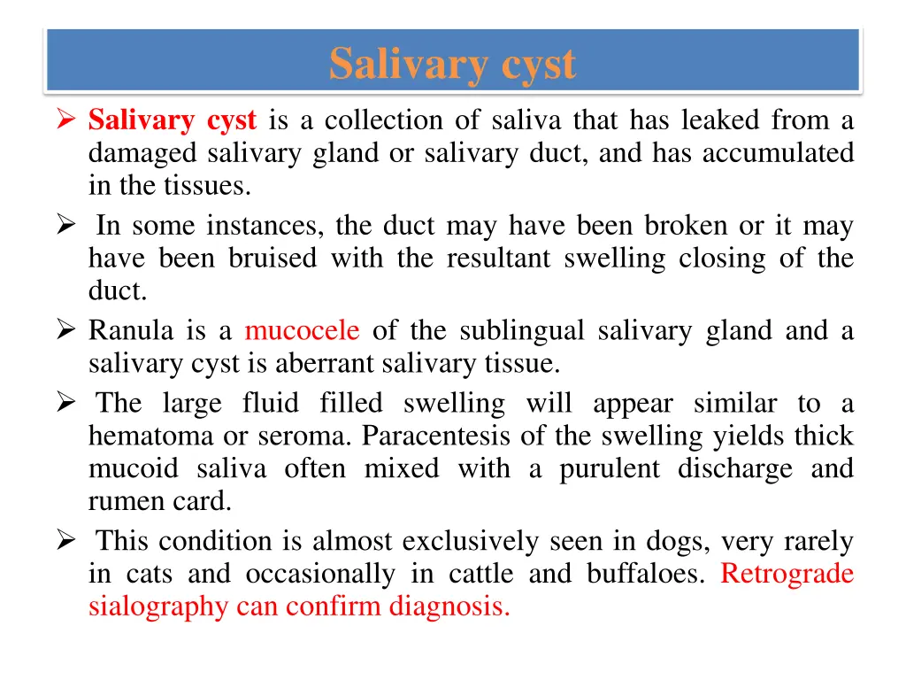 salivary cyst