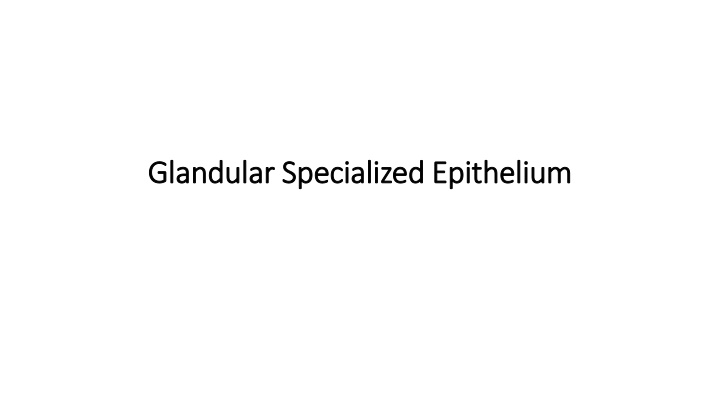 glandular specialized epithelium glandular