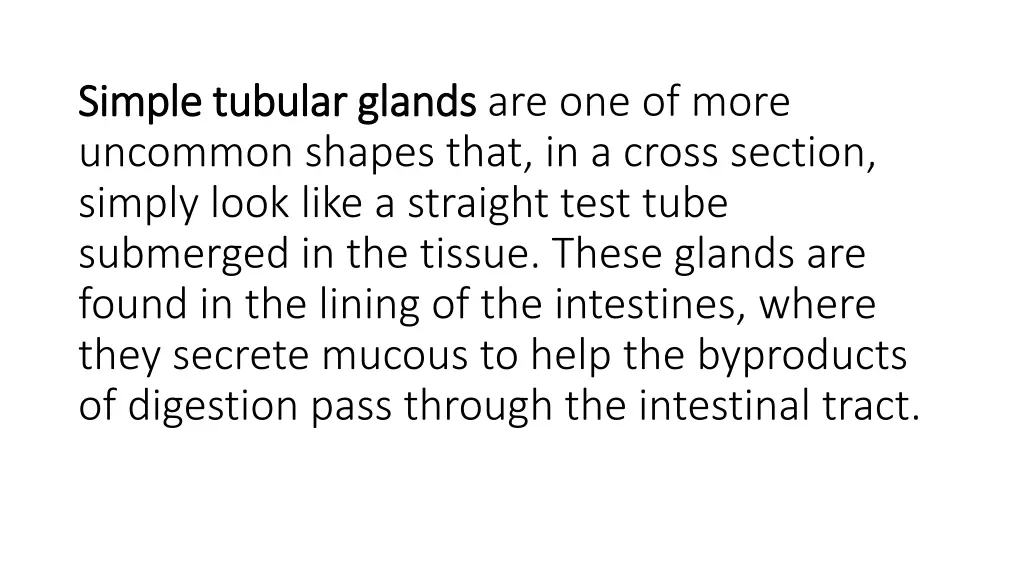 simple tubular glands simple tubular glands