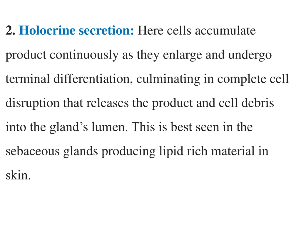 2 holocrine secretion here cells accumulate