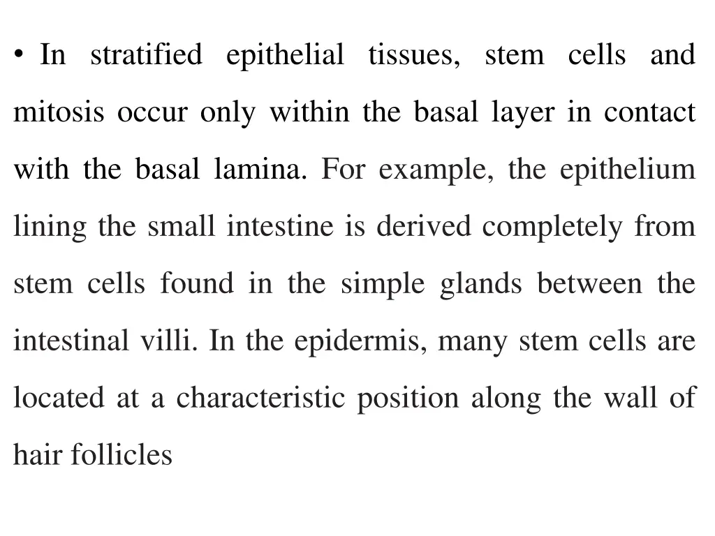 in stratified epithelial tissues stem cells and