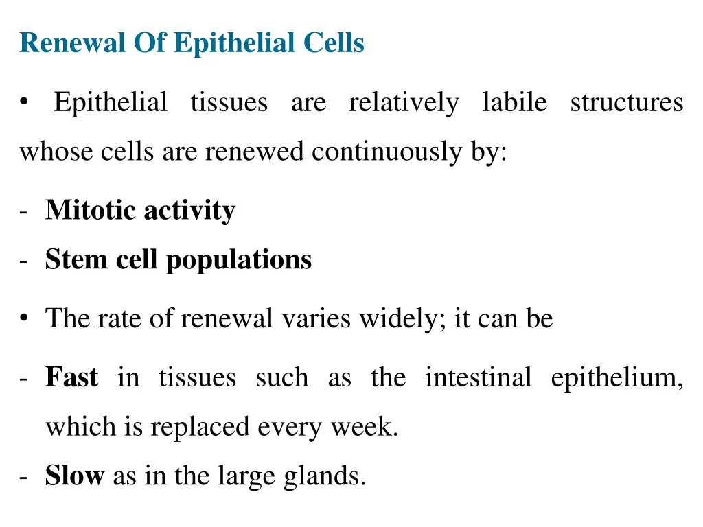 renewal of epithelial cells