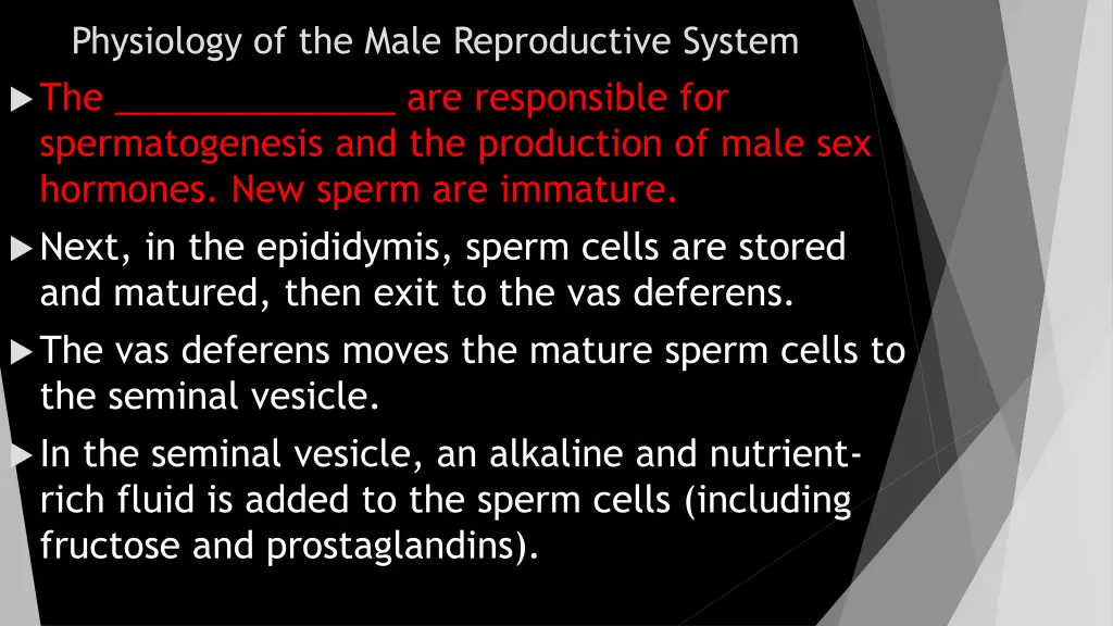 physiology of the male reproductive system