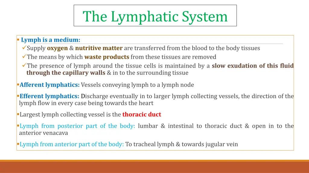 the lymphatic system