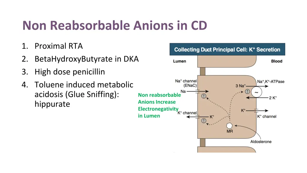 non reabsorbable anions in cd