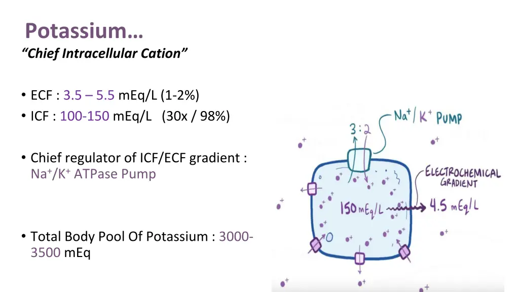 potassium chief intracellular cation