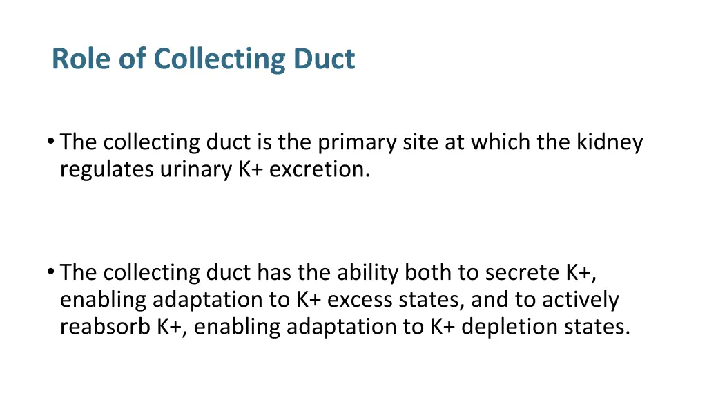 role of collecting duct