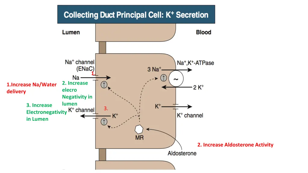 slide29