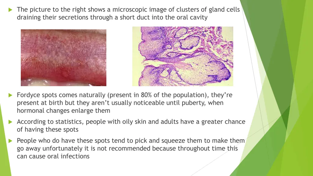 the picture to the right shows a microscopic