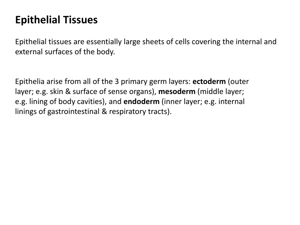 epithelial tissues 1