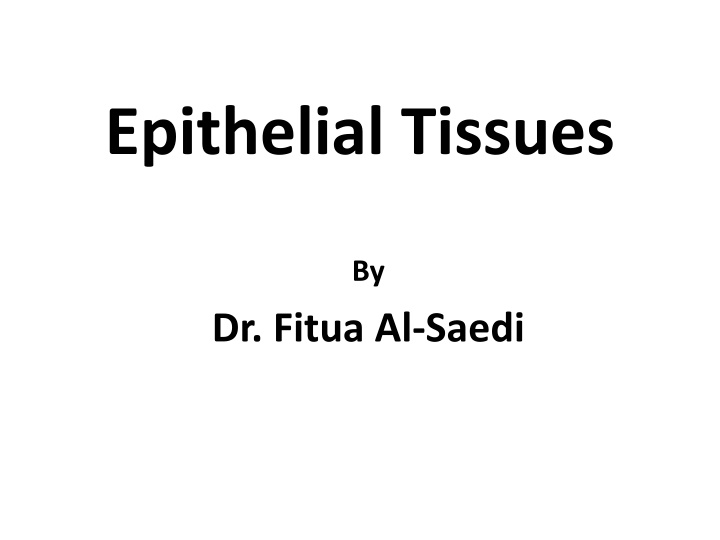 epithelial tissues