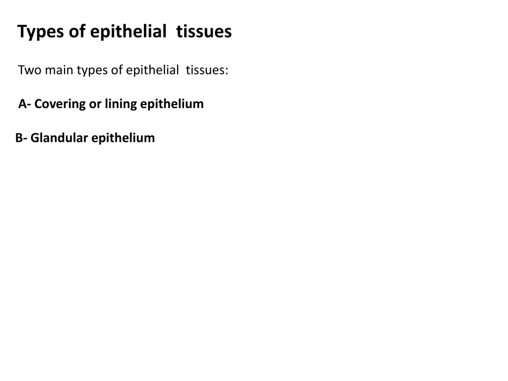 types of epithelial tissues