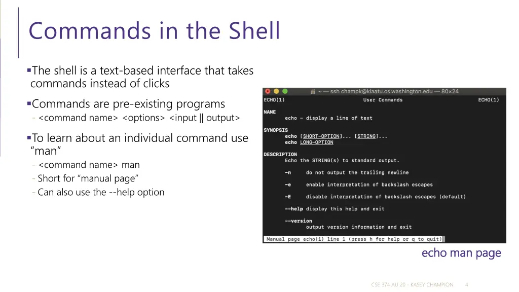 commands in the shell