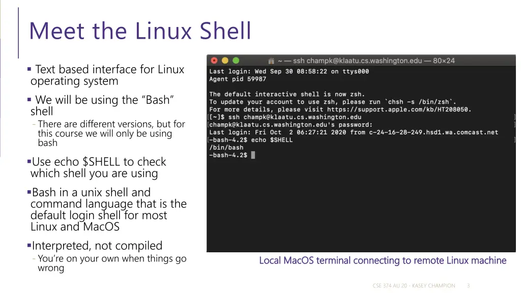 meet the linux shell