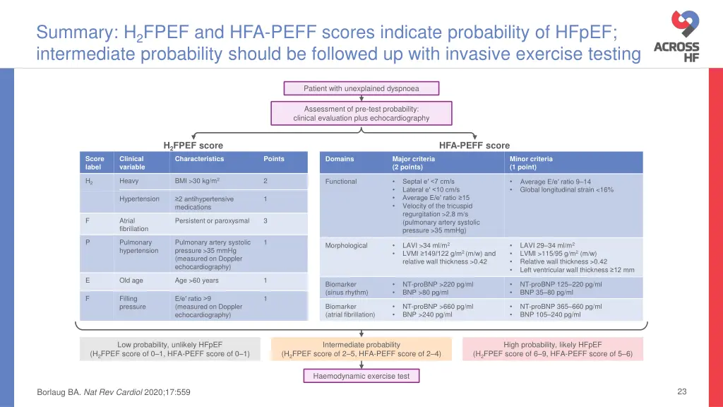 summary h 2 fpef and hfa peff scores indicate