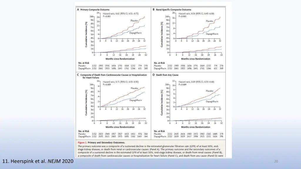 11 heerspink et al nejm 2020