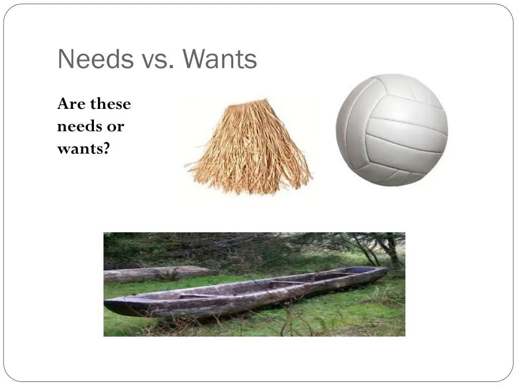 needs vs wants 1