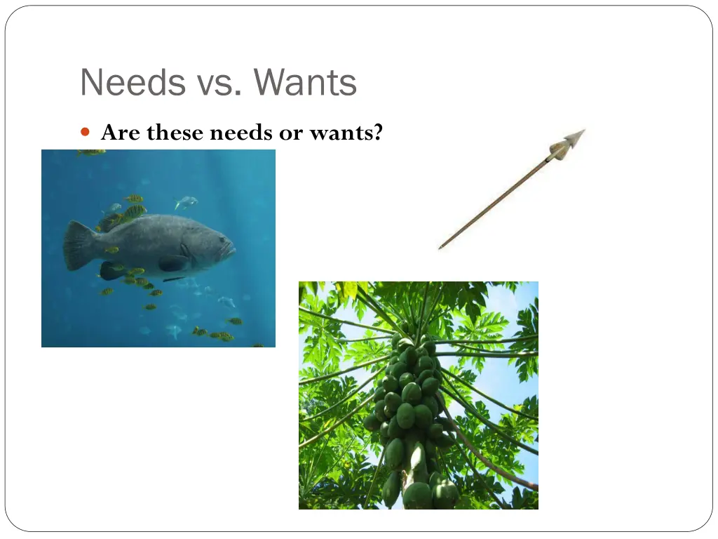 needs vs wants 2