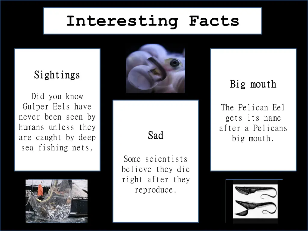 interesting facts