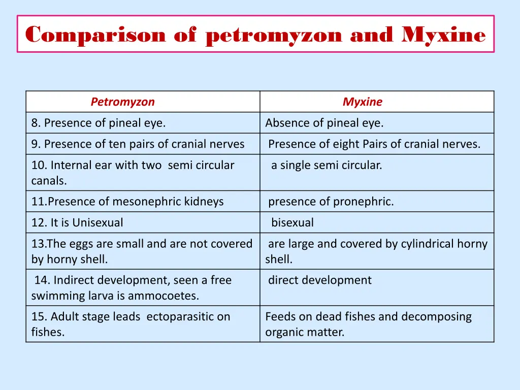 comparison of petromyzon and myxine 1