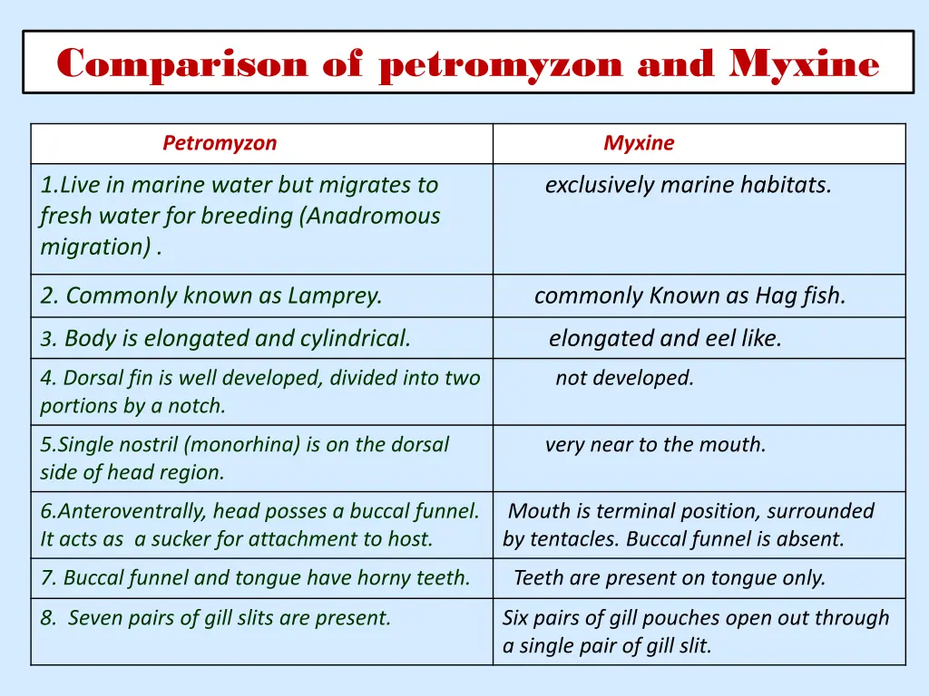 comparison of petromyzon and myxine