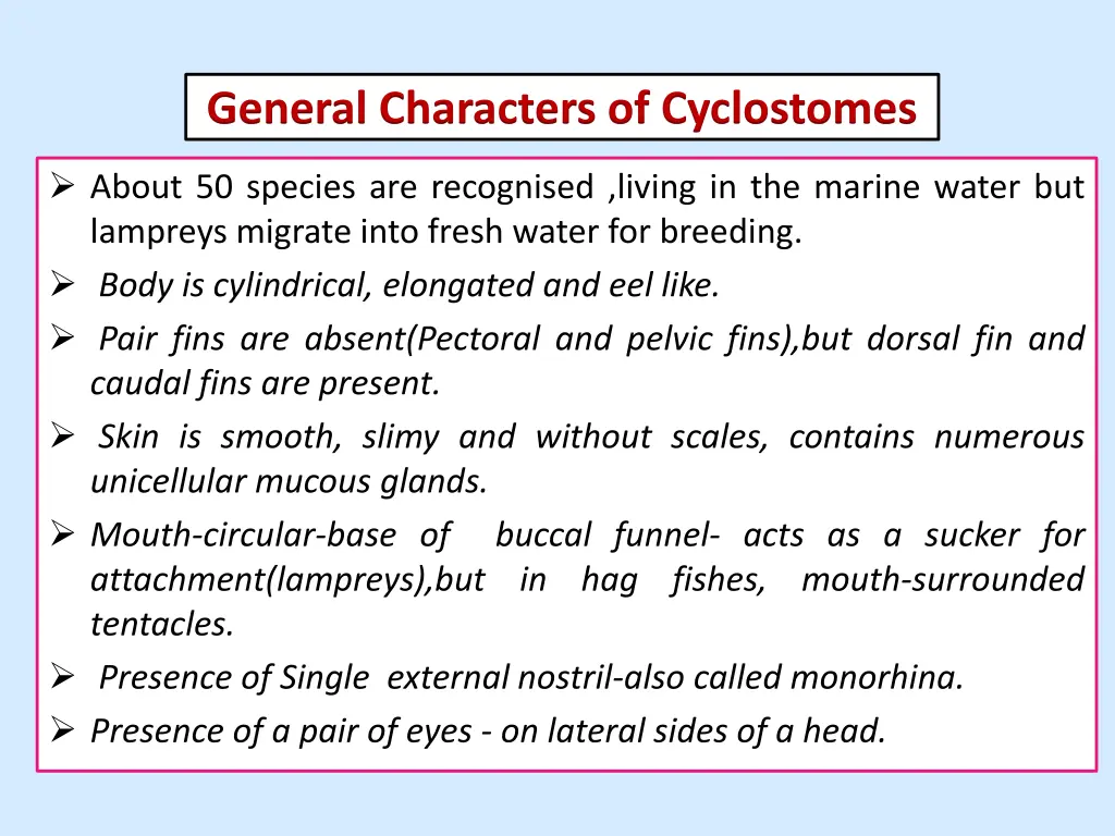 general characters of cyclostomes